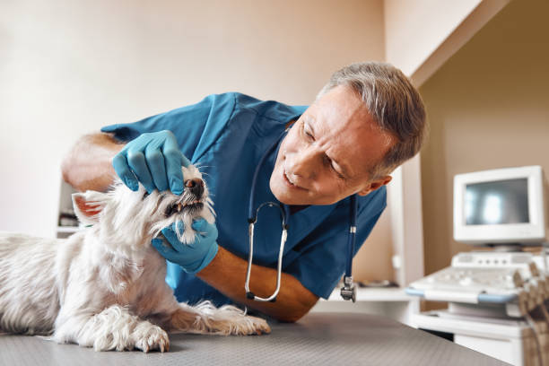 Best Emergency Treatment for Dental Infections or Abscesses in Myrtle Grove, FL
